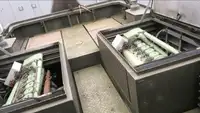 Remolcador en venta