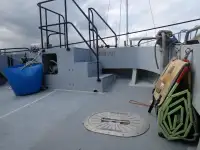 Catamarán en venta