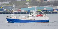 Purse seiner en venta