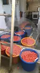 Arrastrero de viga en venta