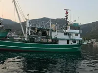 Arrastrero de cerco en venta