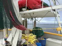 Arrastrero en venta