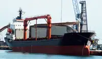 Granelero en venta