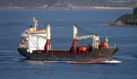 Granelero en venta