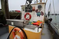 Arrastrero en venta