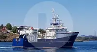 Arrastrero de viga en venta