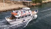 Buque de pasajeros en venta