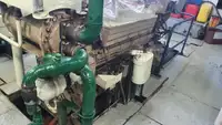 Palangrero en venta