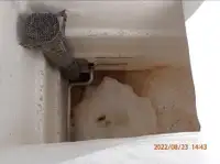 Arrastrero de cerco en venta