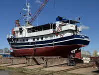 Buque granelero en venta