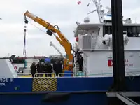 Catamarán en venta