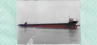 Barco de carga pesada en venta