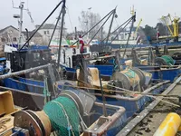 Buque transportador de peces vivos en venta