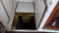 Soporte para buceo en venta