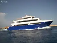 Soporte de buceo en venta