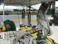 Arrastrero en venta