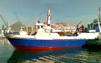 Arrastrero en venta