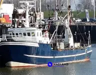 Arrastrero de viga en venta