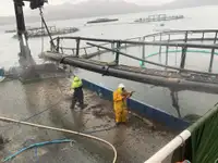 Embarcaciones de trabajo en venta