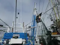 Arrastrero en venta