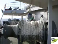 Buque Ro-Ro en venta