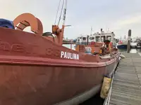 Barcaza en venta