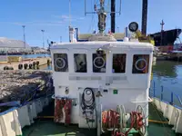 Remolcador en venta