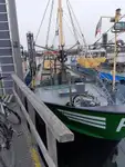 Arrastrero en venta