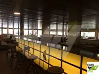 Buque Ro-Ro en venta