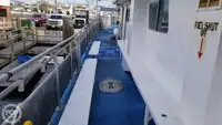 Catamarán en venta