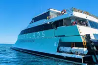 Buque de crucero en venta