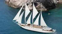Buque de crucero en venta