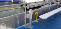 Catamarán en venta