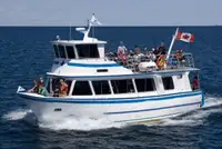Buque de crucero en venta