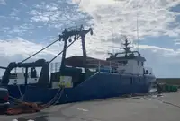 Arrastrero en venta