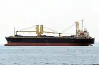 Granelero en venta