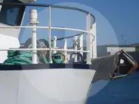 Arrastrero en venta