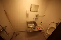 Buque granelero en venta