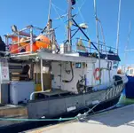 Palangrero en venta