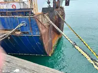 Arrastrero en venta