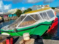 Barco de transbordador en venta
