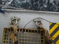 Buque frigorífico en venta