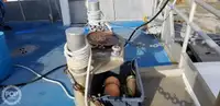 Catamarán en venta