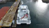 Catamarán en venta