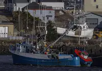 Arrastrero de cerco en venta