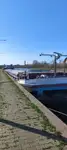 Buque granelero en venta