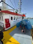 Buque portacontenedores en venta