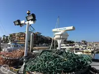 Arrastrero en venta