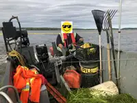 Petrolero de aguas de sentina en venta