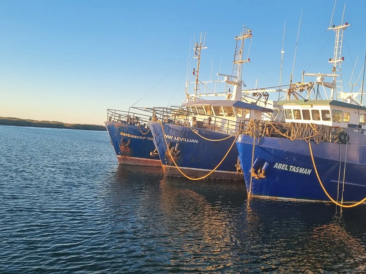 Arrastrero en venta